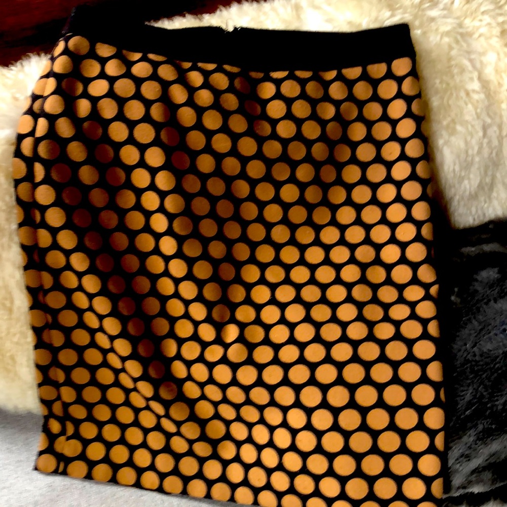 Talbots Pencil Skirt